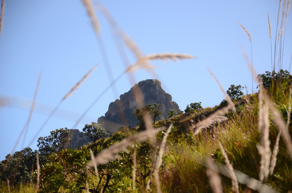 2015-05 South Africa/Drakensburg/DSC_0181.JPG